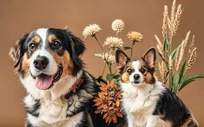 Understanding Cancer Risks in Different Dog Breeds