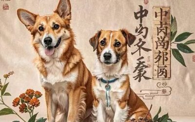 犬の癌に対するハーブ療法：安全で効果的なアプローチ