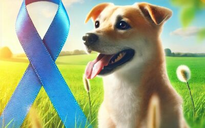 Tagamet and Benadryl: A Surprising Duo in the Fight Against Canine Cancer