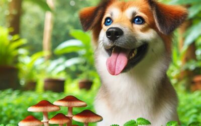 Revitalizing Canine Health: The Breakthrough Power of Turkey Tail Mushroom for Dogs with Lymphoma
