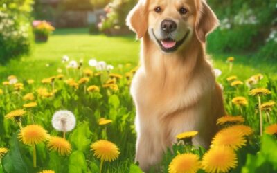 How Dandelion Can Improve Your Pet’s Health: A Natural Remedy for Wellness