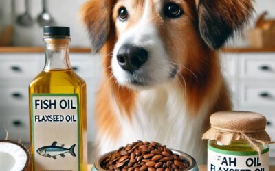 The Benefits of Healthy Fats for Your Dog’s Immune System and Inflammation Reduction