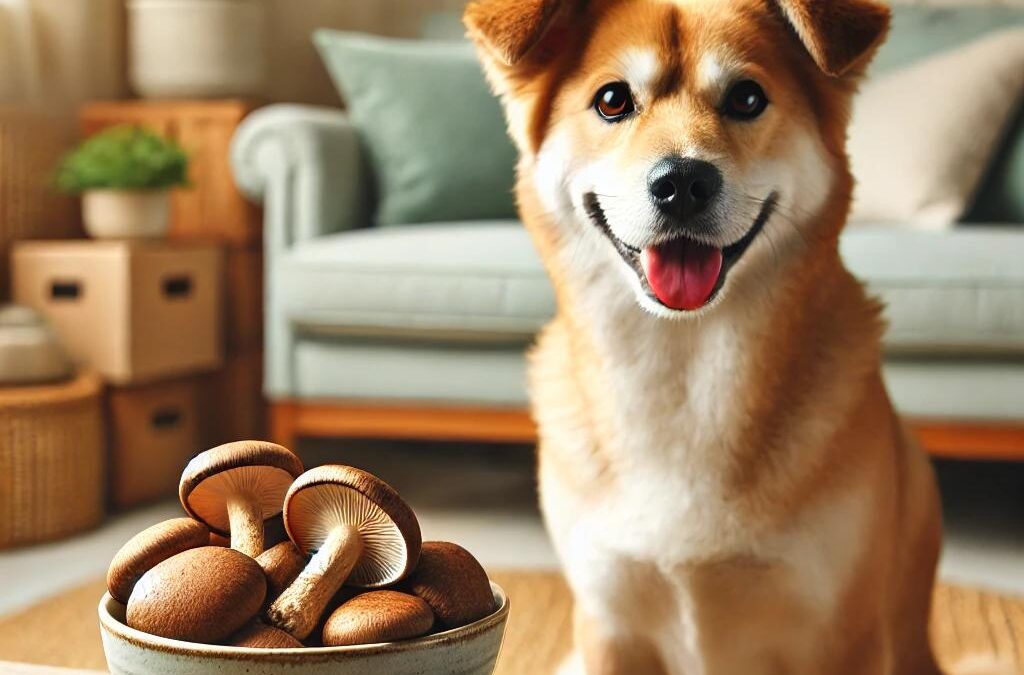 Shiitake Mushrooms: A Nutrient-Rich Superfood for You and Your Dog