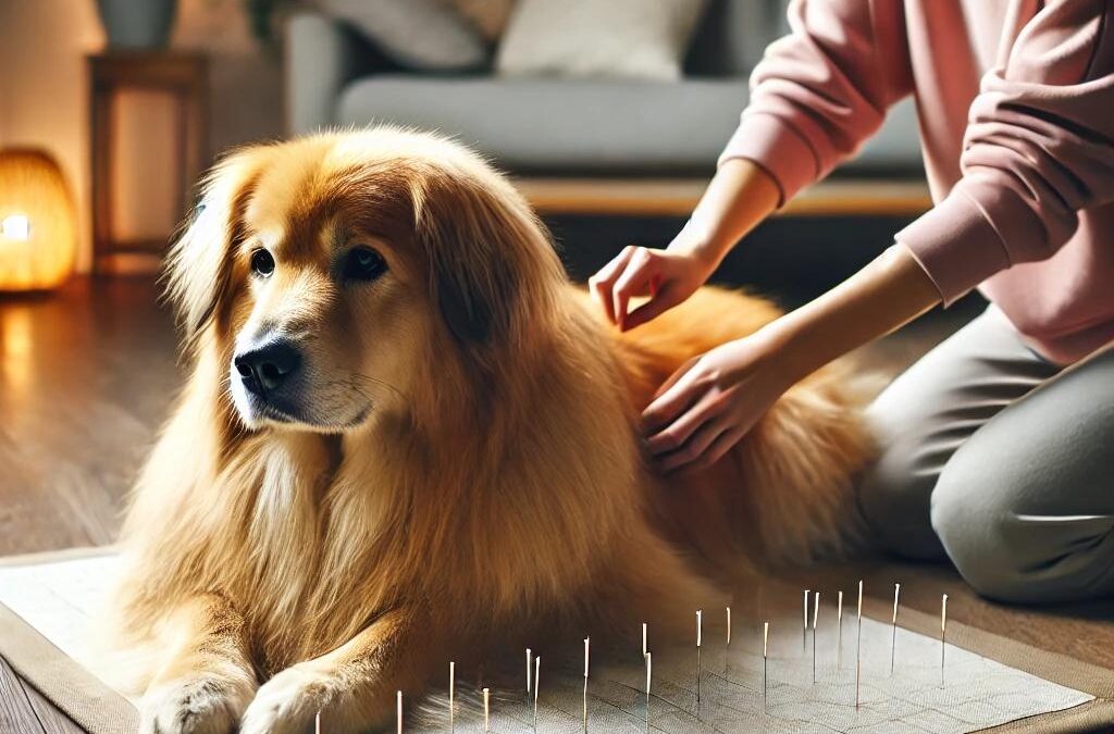 Acupuncture for Dog Cancer: How This Ancient Therapy Can Support Your Pet’s Health