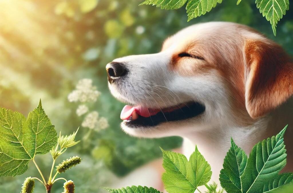 How Mulberry Leaf Supports Respiratory Comfort in Pets